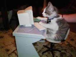 A photo of a white and grey tabby kitten sitting and using a cat sized 90's esc desktop