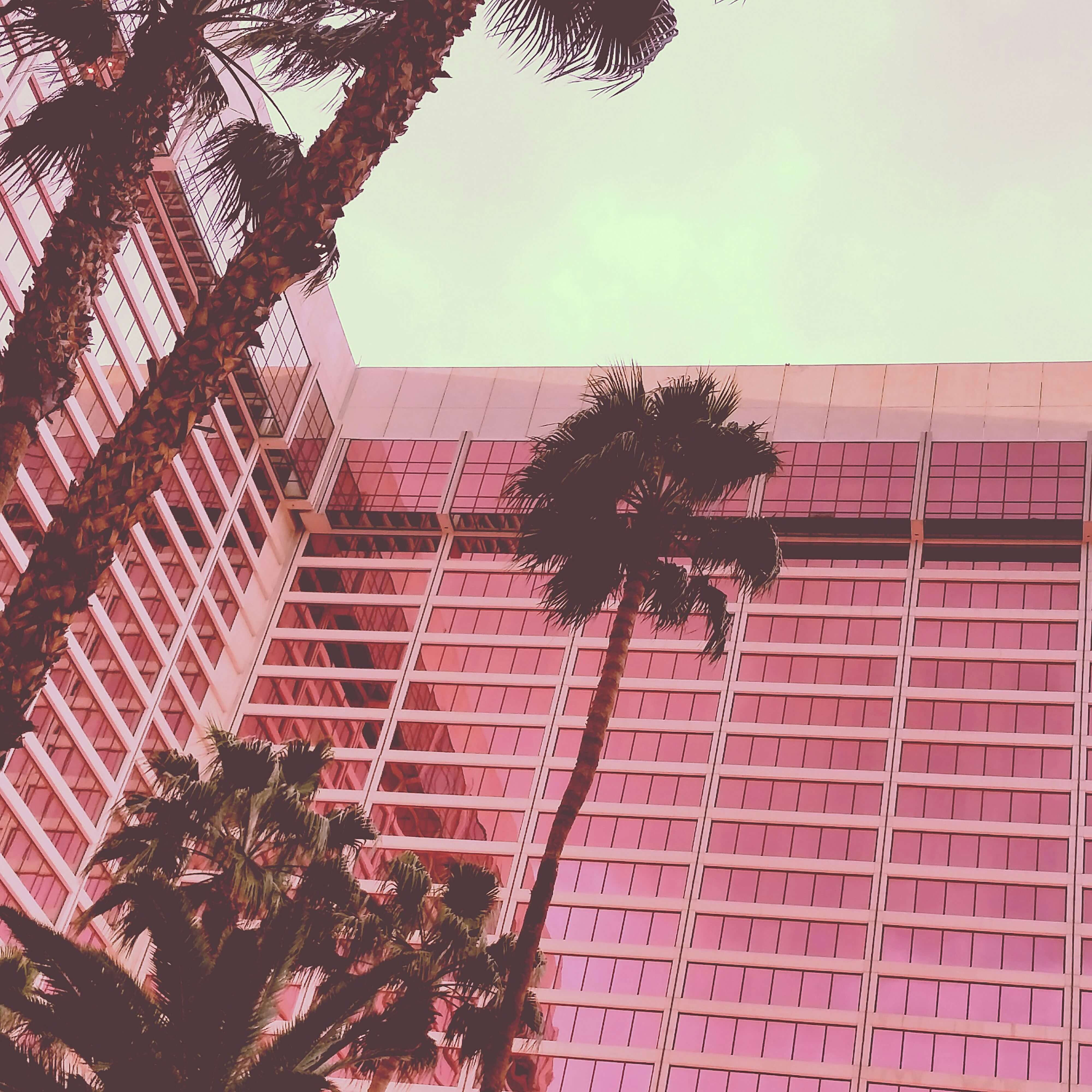a photo of a pink lit hotel with various palm trees beside it