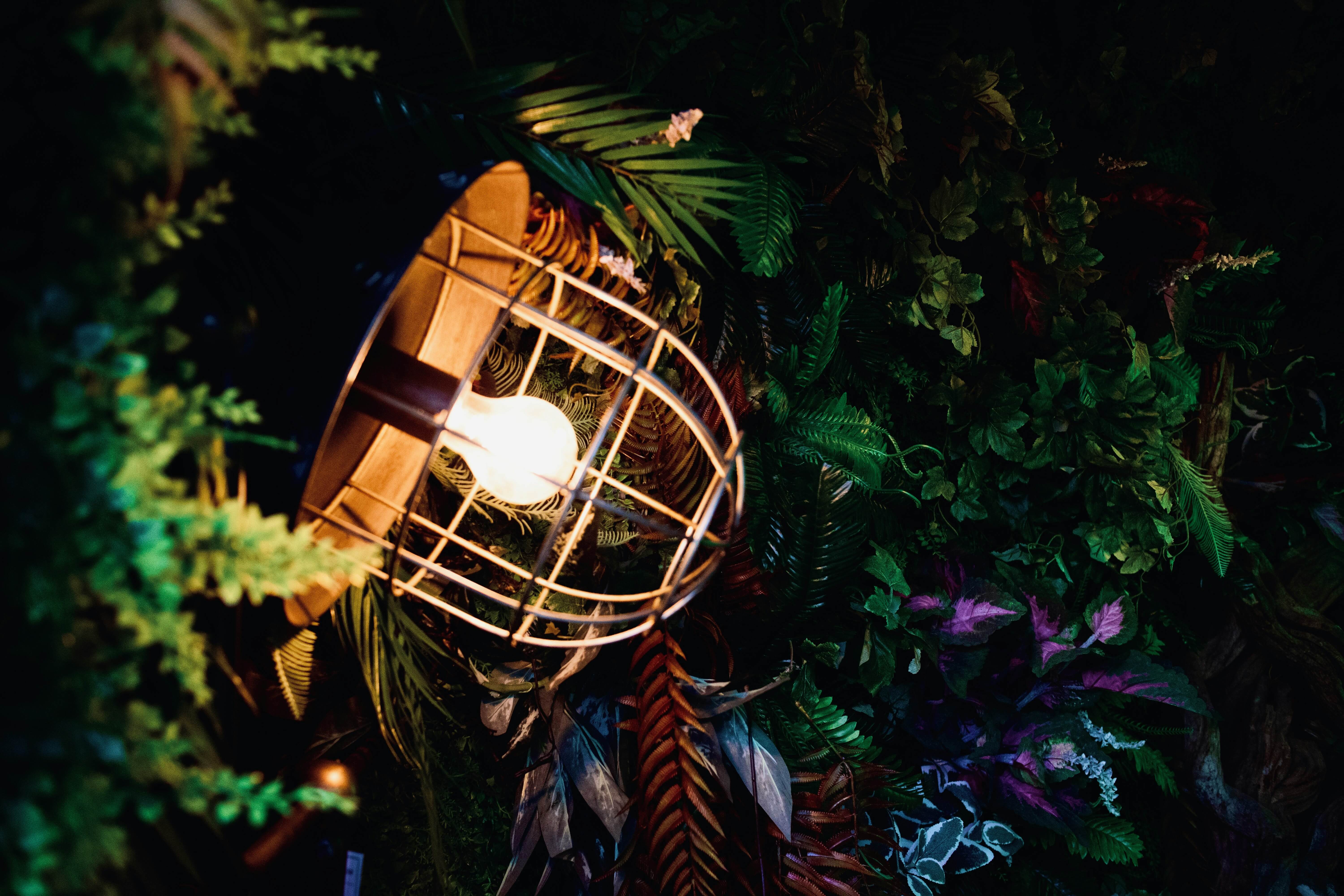 a photo of an orange light set inside a metal cage against a wall surrounded by various leaves and plants
