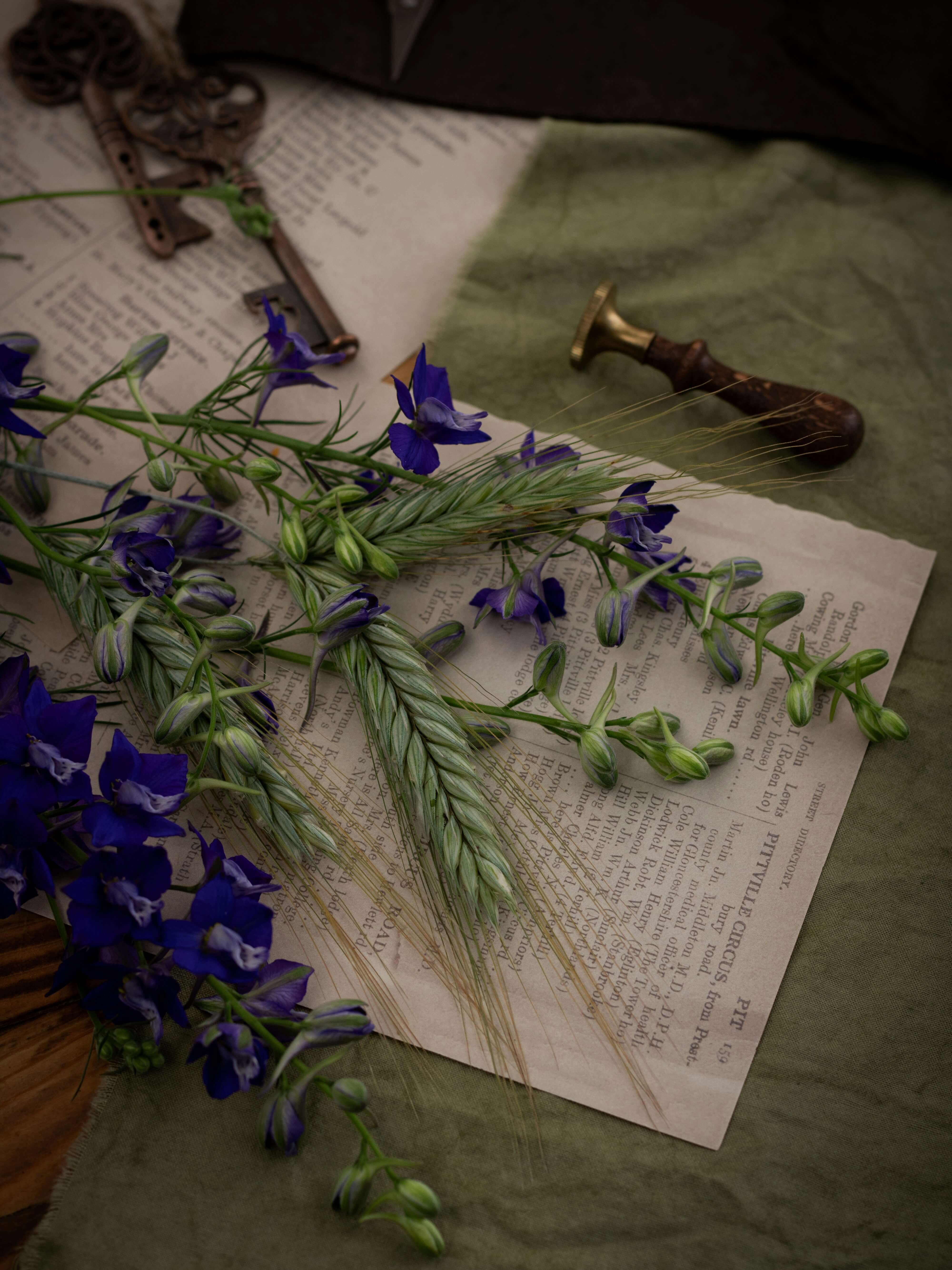 a photo of papers lying on a sheet of sage green fabric. Various plants abs purple flowers are ontop of it