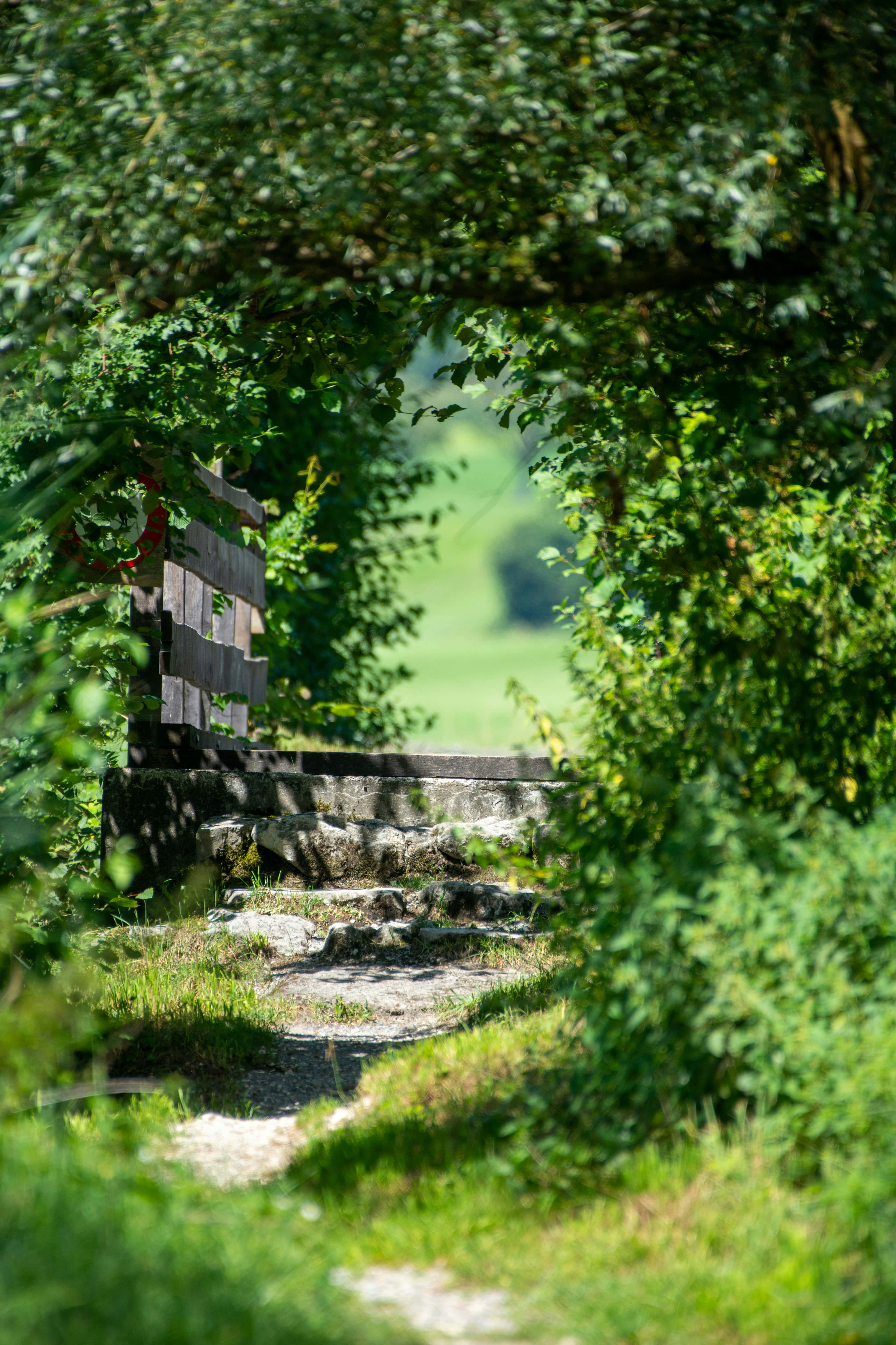 a photo of a stone pathway leading to an arch made of bright green leaves