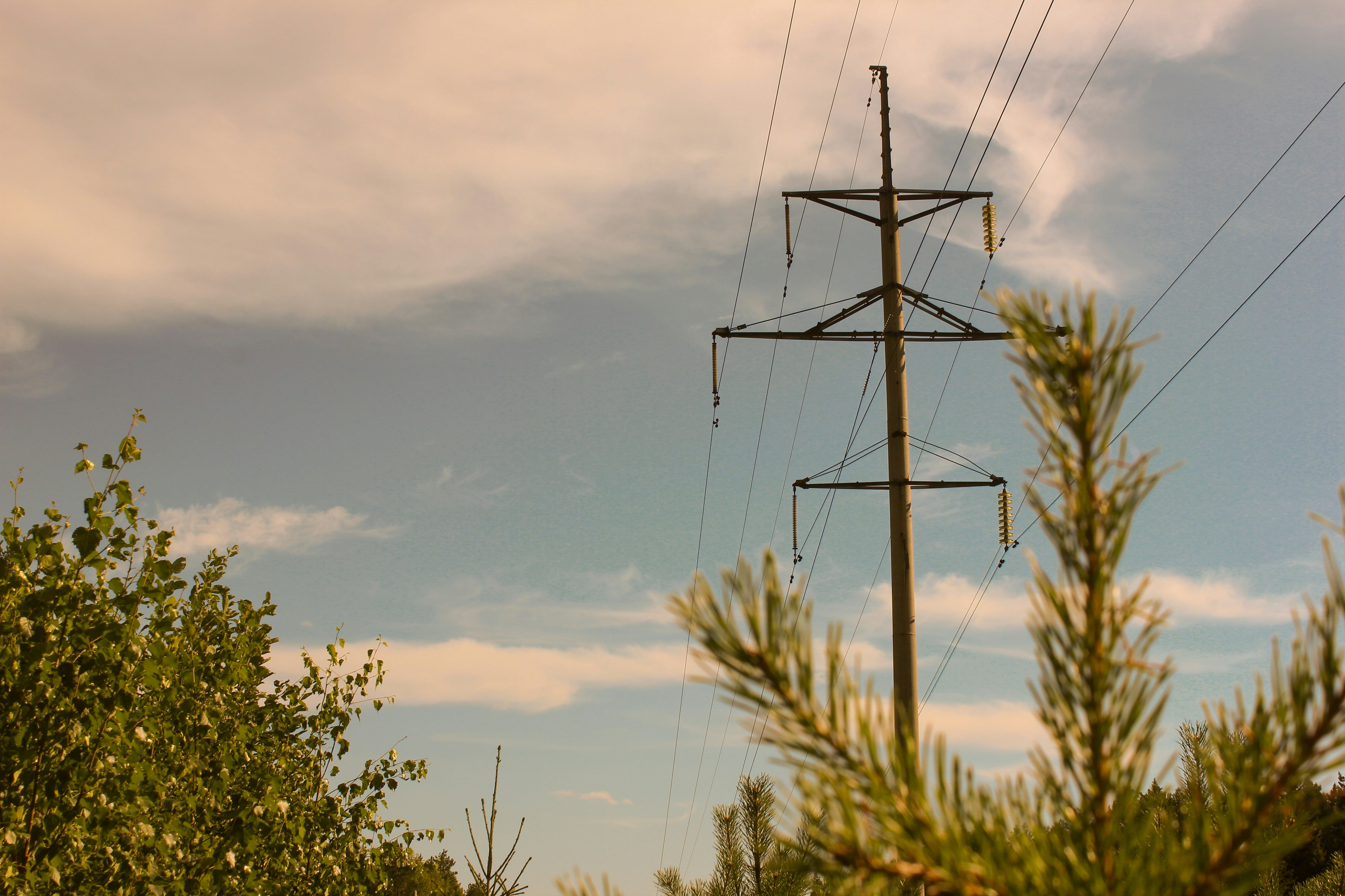 a photo of a powerline with a muted blue sky and trees behind it