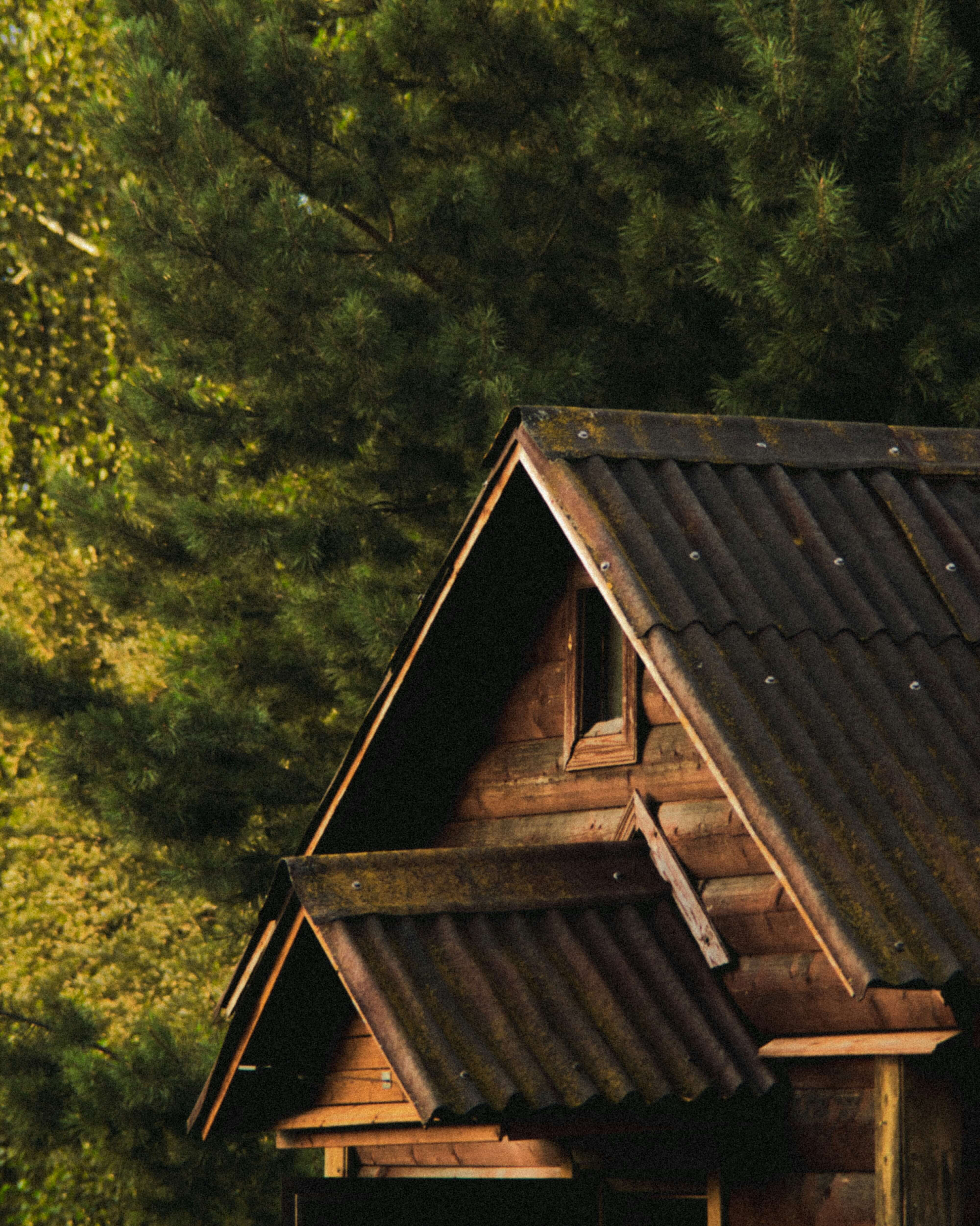 a photo of the roof of a tin roof on a wooden cabin in the forest