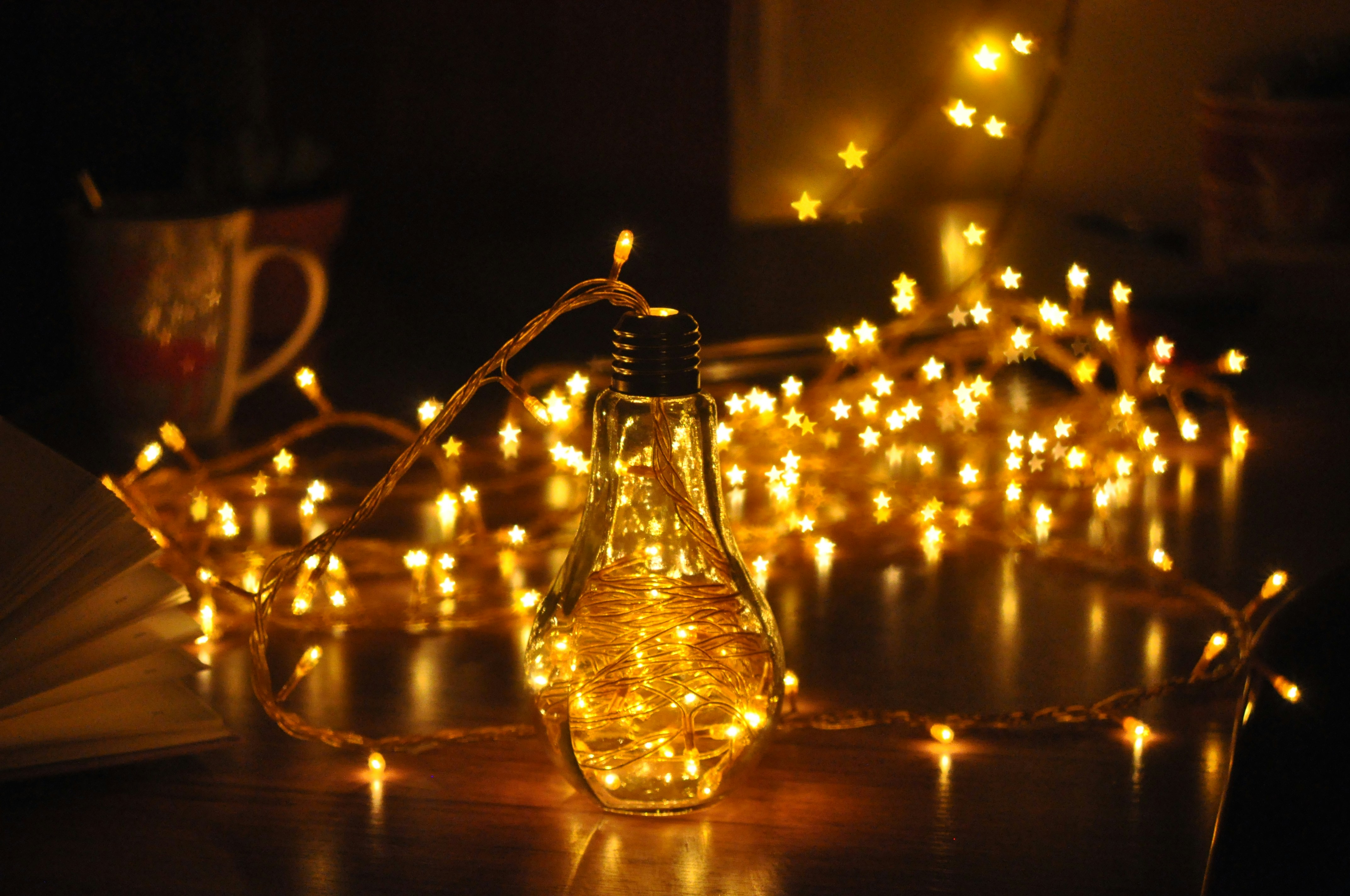 a photo of various warm fairy lights with a clear light bulb