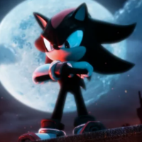 a screenshot of shadow the hedgehog