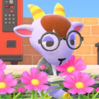 a screenshot of Kidd from animal crossing