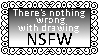 there is nothing wrong with drawing NSFW