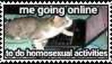 A cat on a computer with the text; me going online to do homosexual activities