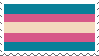 the trans flag