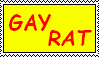 gay rat