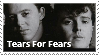 A black and white bust photo of two people with the text tears for fears