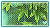 A gif with bright green leaves with a teal heart