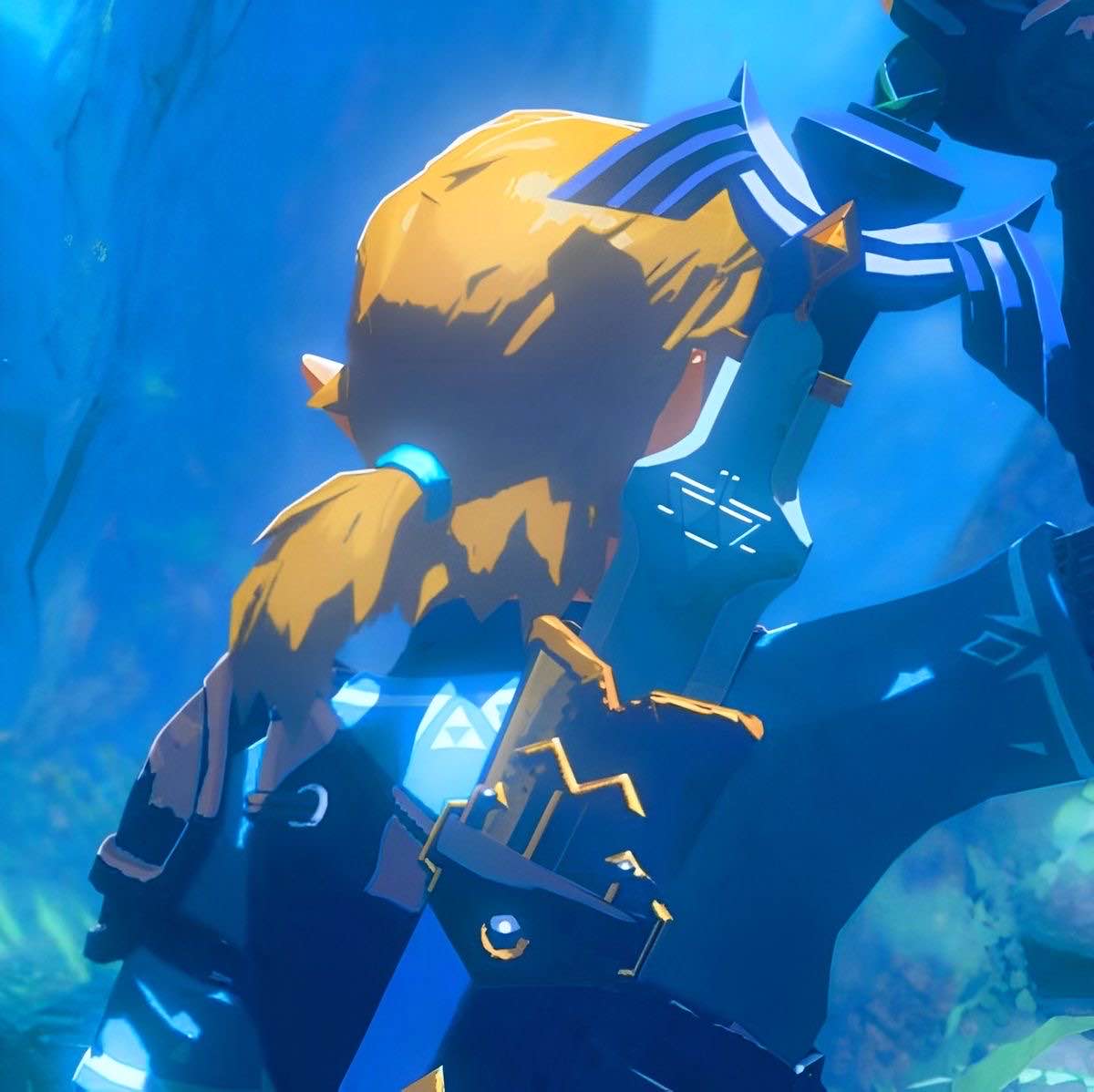 A halfbody screenshot of link in breath of the wild with his back shown grabbing the master sword