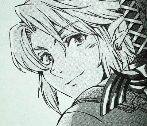 A twilight princess manga panel of link smiling