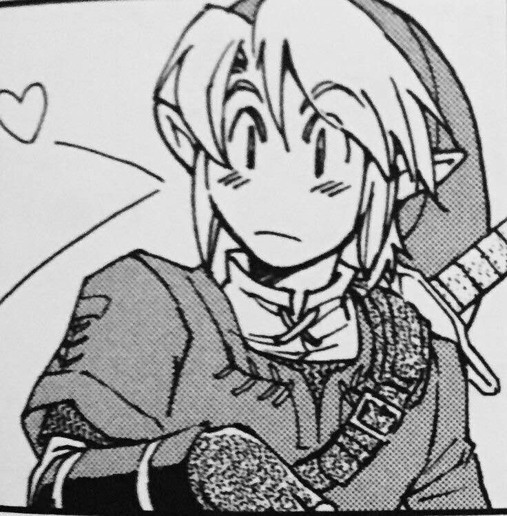 A twilight princess manga panel of link blushing