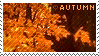 A picture of fall leaves with the text autumn next to a small heart