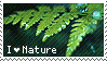 A picture of a fern with the text: I heart nature