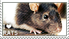 A picture of a rat with the text I heart rats