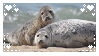 A picture of 2 seals
