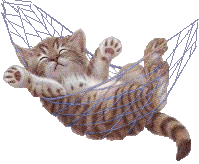 a gif of a brown and white striped kitten relaxing in a mesh hammock