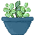 a pot of small plants